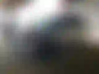Vehicle Image- 2006 Honda Odyssey