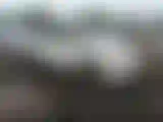 Vehicle Image- 2007 Honda Odyssey