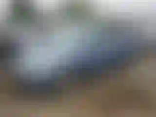 Vehicle Image- 2008 Honda Odyssey