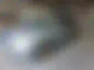 Vehicle Image- 2009 Honda Odyssey