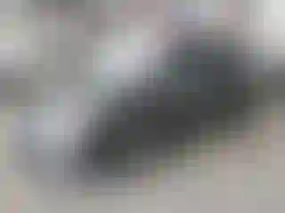 Vehicle Image- 2007 Honda Odyssey