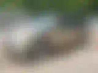 Vehicle Image- 2007 Honda Odyssey