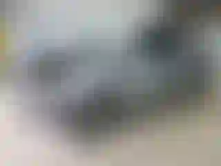 Vehicle Image- 2008 Honda Odyssey