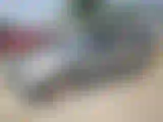 Vehicle Image- 2006 Honda Odyssey