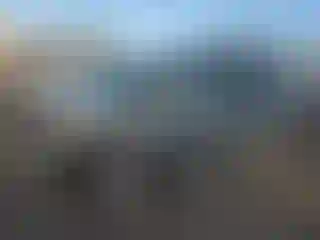 Vehicle Image- 2007 Honda Odyssey
