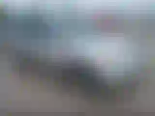 Vehicle Image- 2008 Honda Odyssey