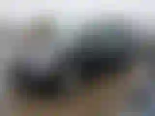 Vehicle Image- 2008 Honda Odyssey