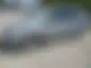 Vehicle Image- 2008 Honda Odyssey