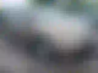 Vehicle Image- 2008 Honda Odyssey