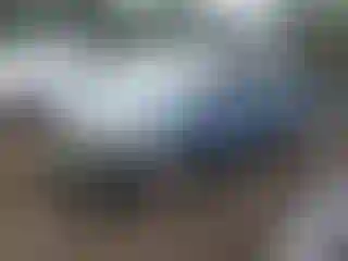 Vehicle Image- 2005 Honda Odyssey