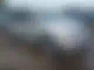 Vehicle Image- 2006 Honda Odyssey
