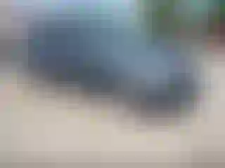 Vehicle Image- 2006 Honda Odyssey