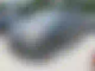 Vehicle Image- 2007 Honda Odyssey