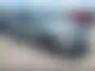 Vehicle Image- 2008 Honda Odyssey