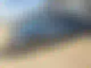 Vehicle Image- 2007 Honda Odyssey