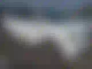 Vehicle Image- 2007 Honda Odyssey