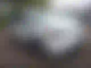 Vehicle Image- 2009 Honda Odyssey