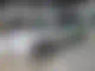 Vehicle Image- 2005 Honda Odyssey