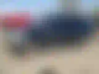 Vehicle Image- 2007 Honda Odyssey