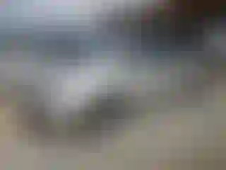 Vehicle Image- 2007 Honda Odyssey