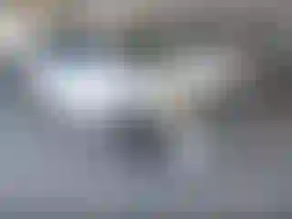 Vehicle Image- 2008 Honda Odyssey