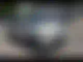 Vehicle Image- 2008 Honda Odyssey