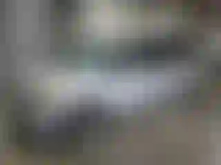 Vehicle Image- 2009 Honda Odyssey