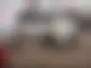 Vehicle Image- 2005 Honda Odyssey