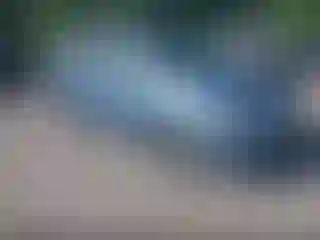 Vehicle Image- 2005 Honda Odyssey