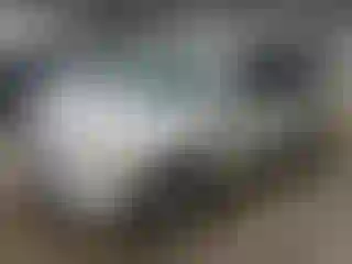 Vehicle Image- 2006 Honda Odyssey
