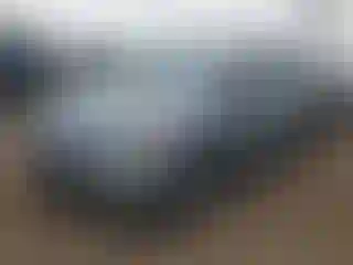 Vehicle Image- 2008 Honda Odyssey
