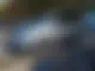 Vehicle Image- 2008 Honda Odyssey