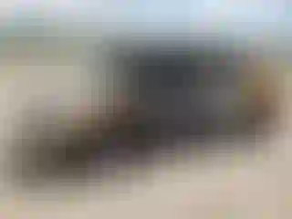 Vehicle Image- 2008 Honda Odyssey