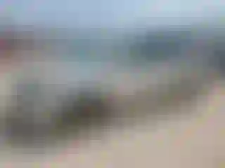 Vehicle Image- 2008 Honda Odyssey