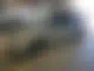 Vehicle Image- 2008 Honda Odyssey