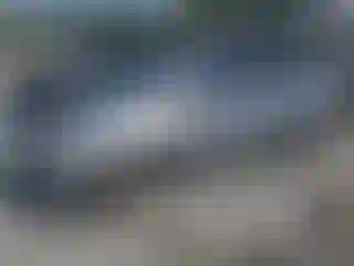 Vehicle Image- 2009 Honda Odyssey