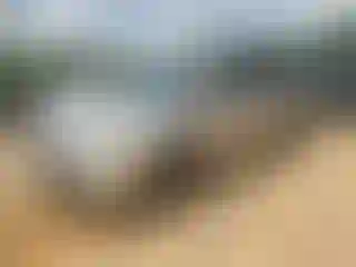 Vehicle Image- 2006 Honda Odyssey