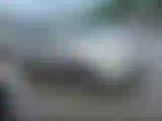 Vehicle Image- 2006 Honda Odyssey