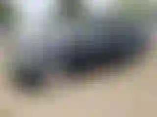 Vehicle Image- 2007 Honda Odyssey