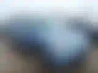 Vehicle Image- 2007 Honda Odyssey
