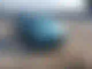 Vehicle Image- 2007 Honda Odyssey