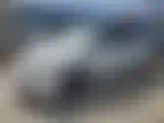Vehicle Image- 2009 Honda Odyssey