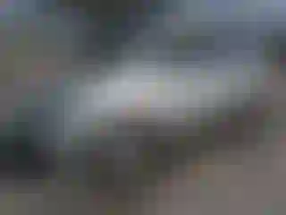 Vehicle Image- 2005 Honda Odyssey