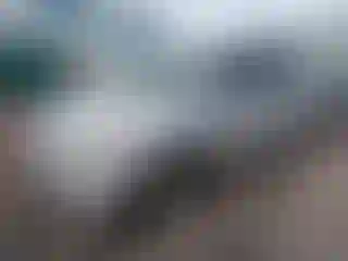 Vehicle Image- 2007 Honda Odyssey