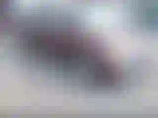 Vehicle Image- 2007 Honda Odyssey