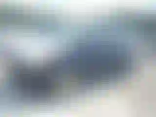 Vehicle Image- 2006 Honda Odyssey