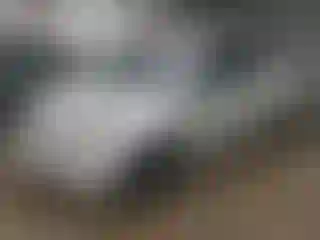 Vehicle Image- 2007 Honda Odyssey