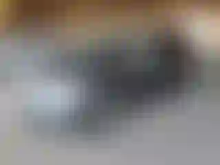 Vehicle Image- 2007 Honda Odyssey