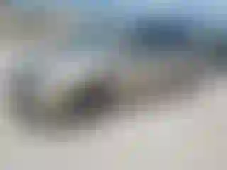 Vehicle Image- 2006 Honda Odyssey