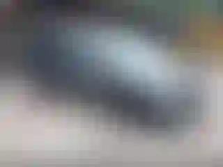 Vehicle Image- 2007 Honda Odyssey